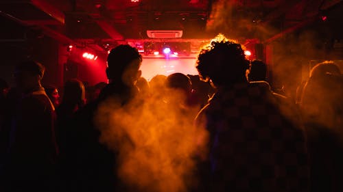Growd of Young People at a Concert in a Smoky Club