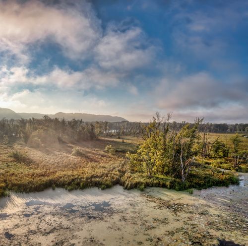 Free Serene sunrise over a marsh in Wabasha, MN. Mist and soft light create a tranquil scene. Stock Photo