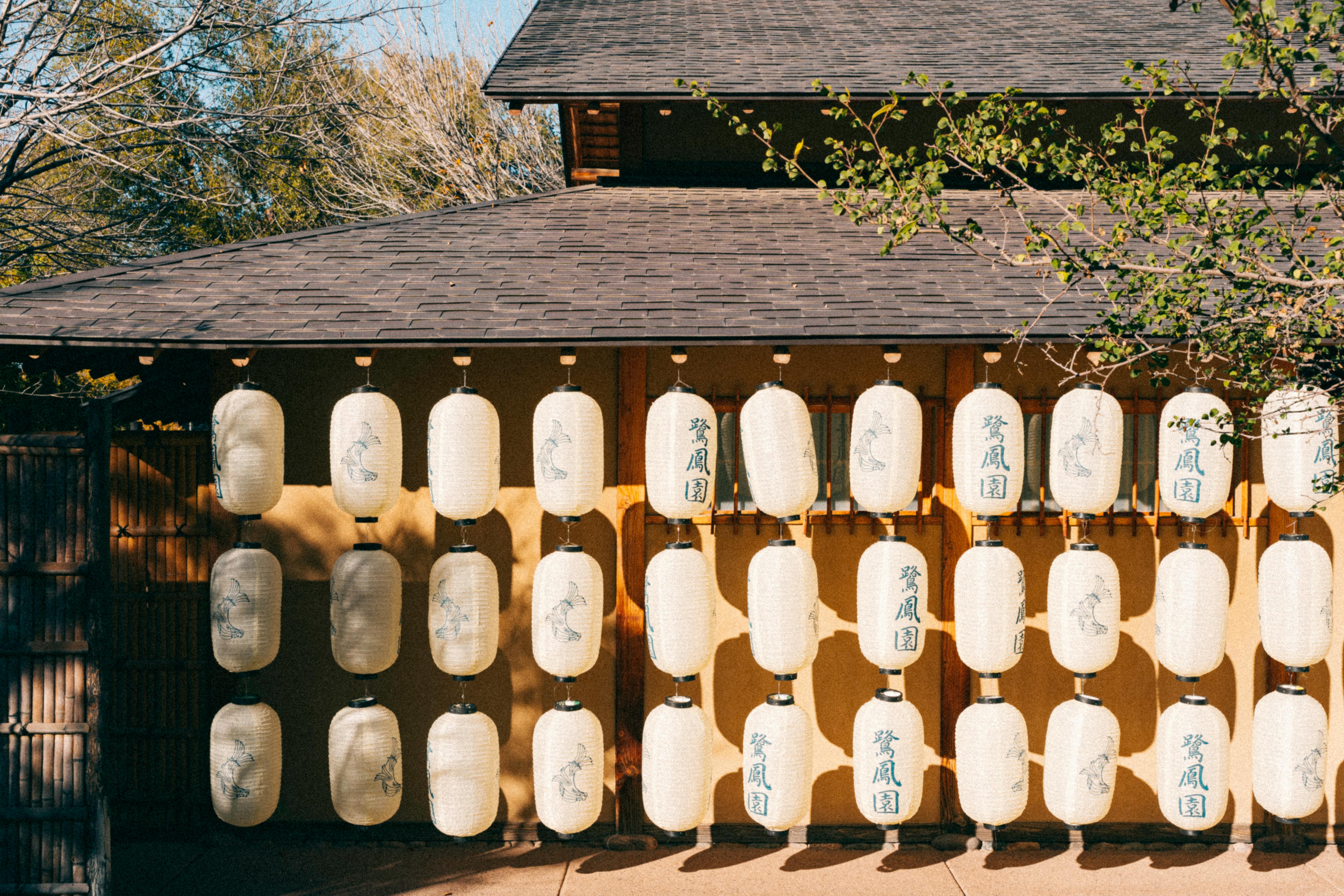 A scenic view of paper lanterns hanging in Himeji, Japan, capturing Japanese culture and tradition.