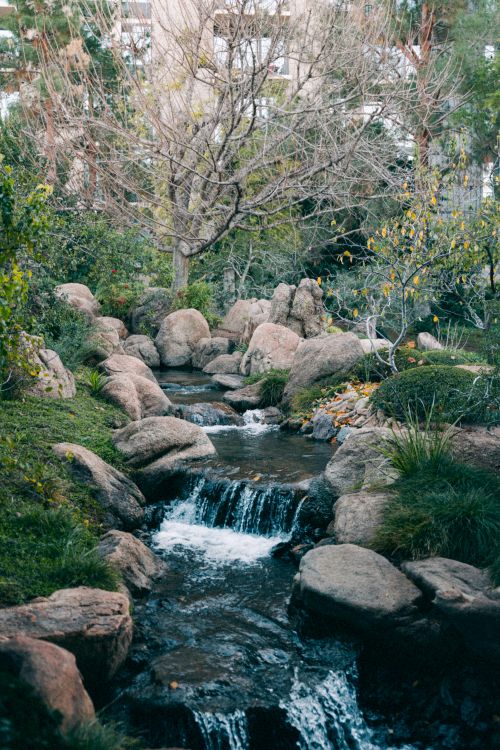 Free Peaceful scene of a Japanese garden with a gentle stream and stones, ideal for tranquility themes. Stock Photo