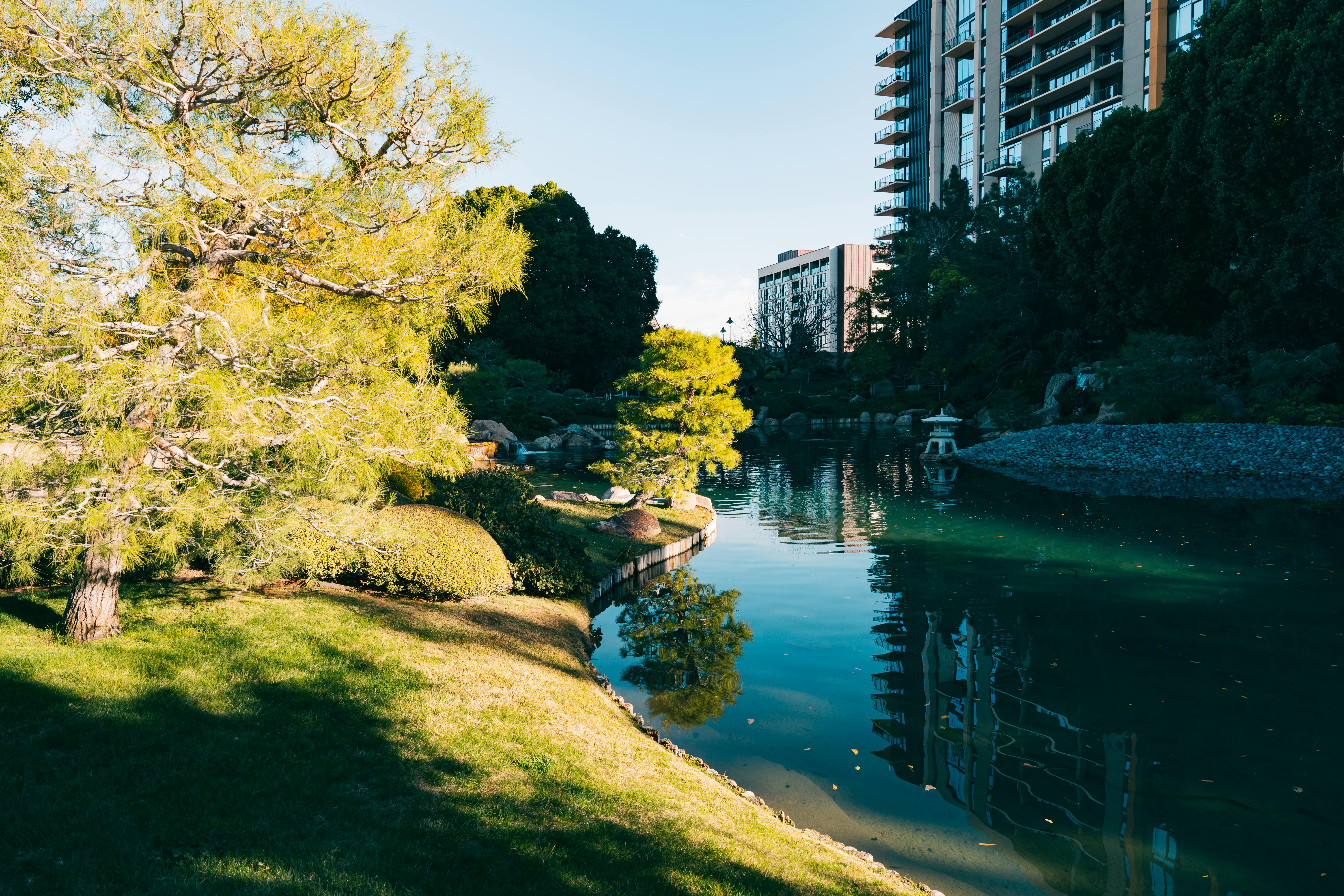 japanese friendship garden in phoenix arizona usa