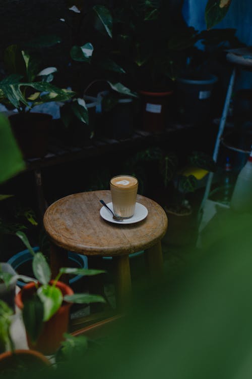 açık, ahşap, barista içeren Ücretsiz stok fotoğraf