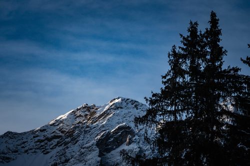Free Stunning view of a snow-covered mountain peak beside tall evergreen trees during twilight. Stock Photo