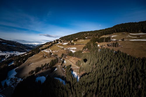 Aerial Panorama of a Mountain Forest with a Hot-Air Ballon Shadow