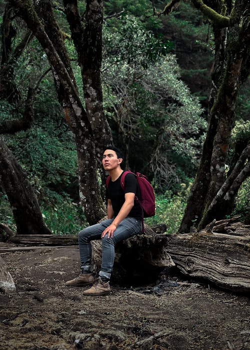 Man with Backpack Sitting in Forest