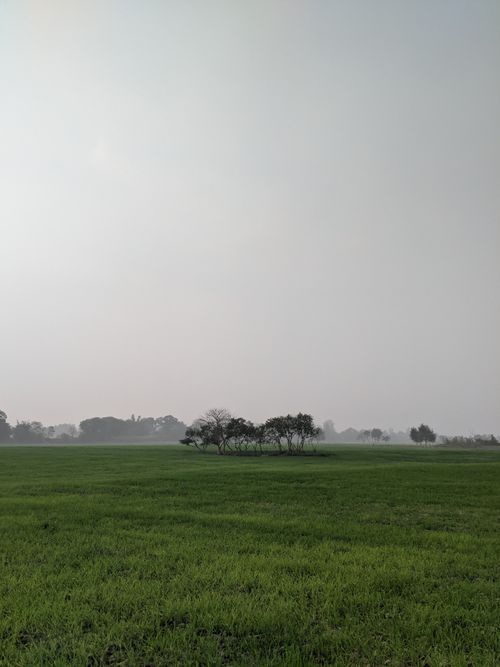 Free Serene fog-covered farmland with lush green grass and distant trees. Stock Photo