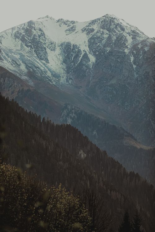 Free Breathtaking view of snowcapped mountains with dense forest in foreground, conveying natural beauty and serenity. Stock Photo