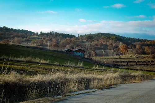 Бесплатное стоковое фото с деревни, деревня, деревья