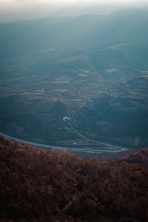 Imagine de stoc gratuită din arbori, codru, deal