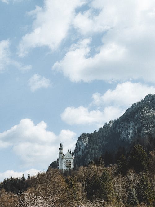 Безкоштовне стокове фото на тему «schwangau, вертикальні постріл, замків»