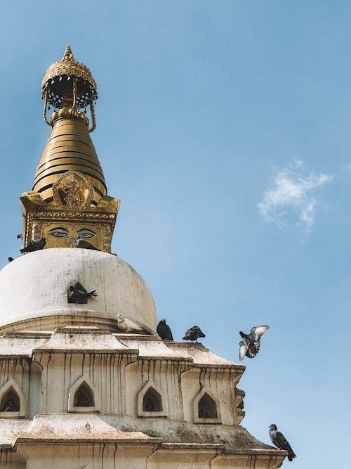 Pigeons Perching on Tower of Swoyambhu Mahachaitya