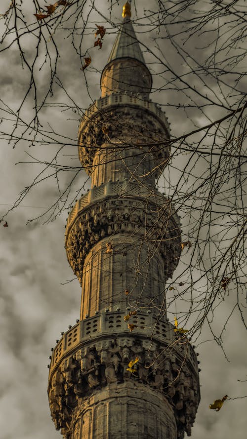 Ornate Blue Mosque Minaret 