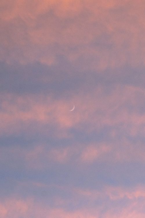 Free A calming view of a pink-hued sky at dusk featuring a crescent moon. Stock Photo