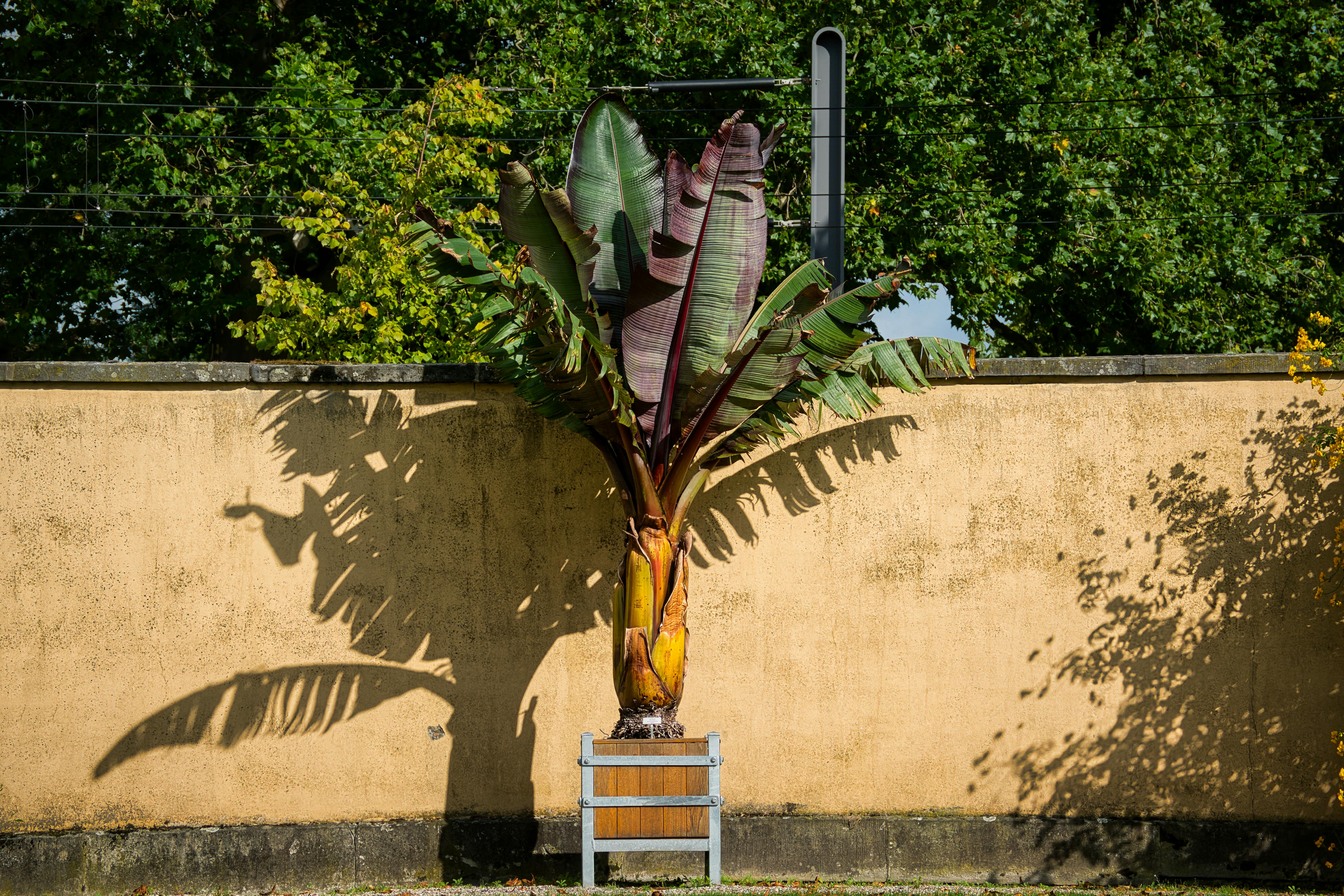 15 Once-Great Nations That Ran Themselves Into The Ground