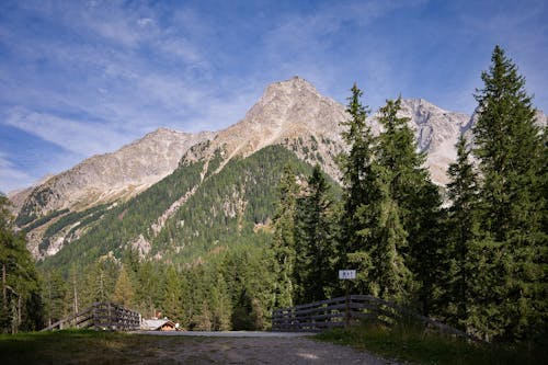 Fotobanka s bezplatnými fotkami na tému cesta, hory, krajina