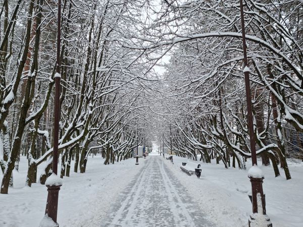 Snow Park