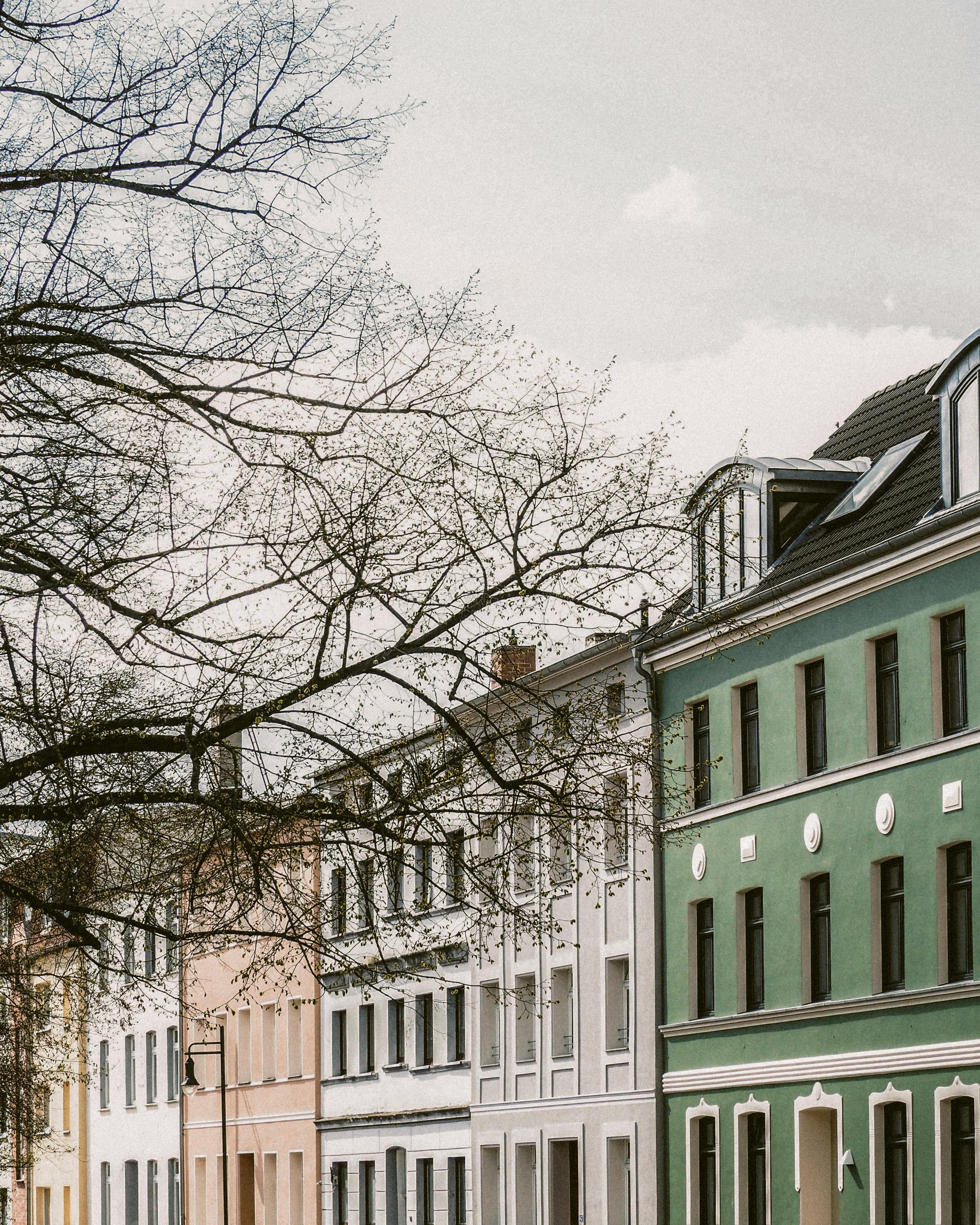 Beautiful urban scene featuring colorful buildings along a tranquil city street.