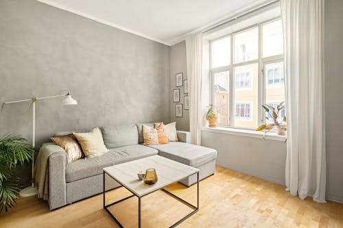Gray Monochromatic Living Room