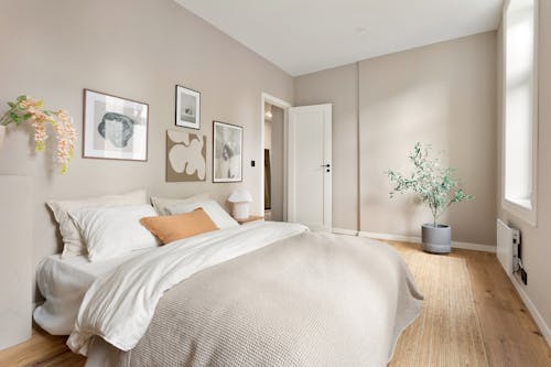 Free Interior of a Modern, Minimalist Bedroom  Stock Photo