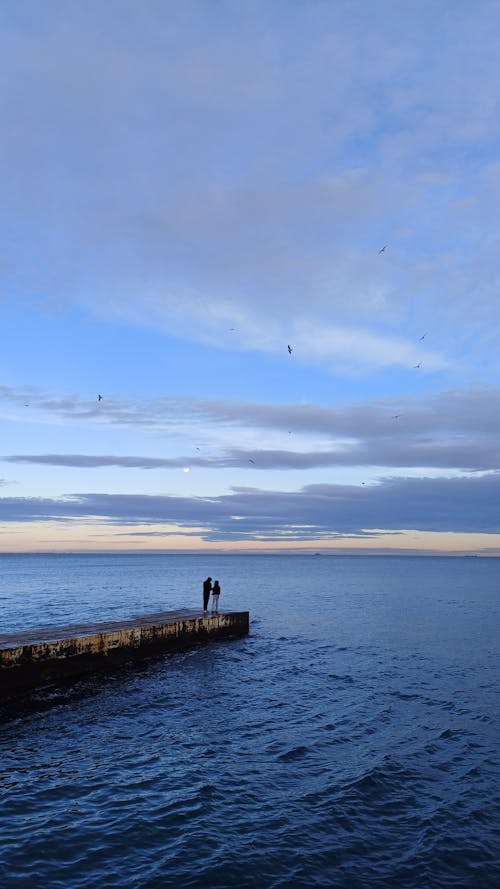 Free stock photo of birds, evening sky, people