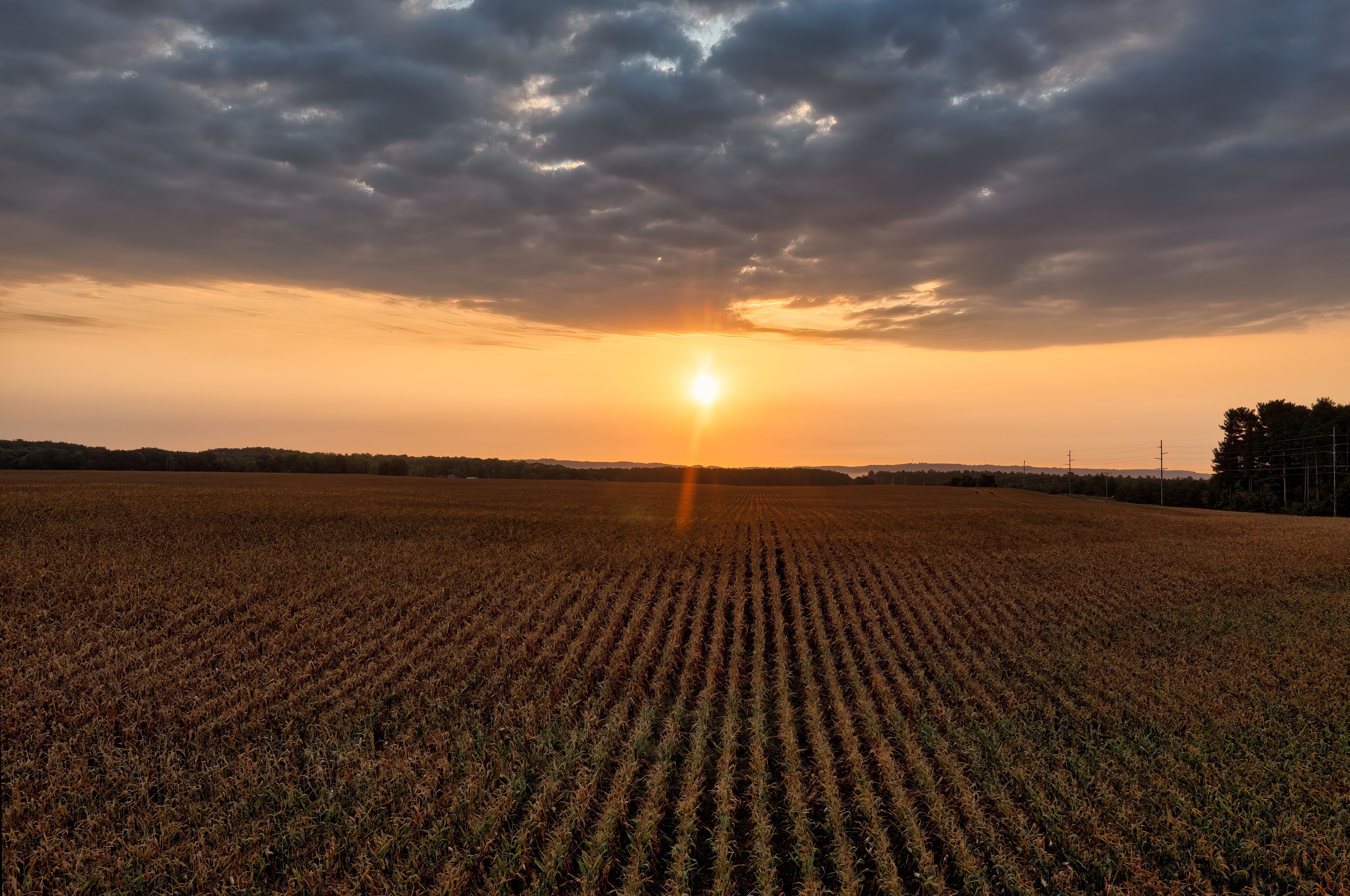 Foto profissional gratuita de agricultura, américa do norte, américa ...