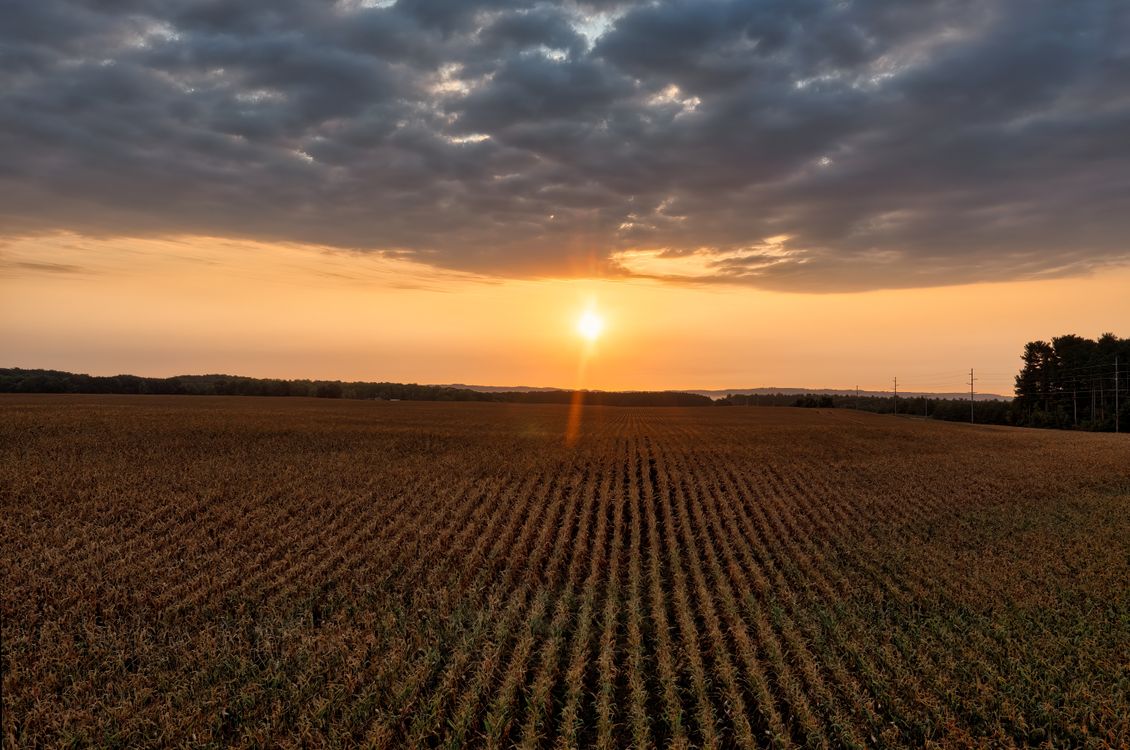 Foto profissional gratuita de agricultura, américa do norte, américa ...