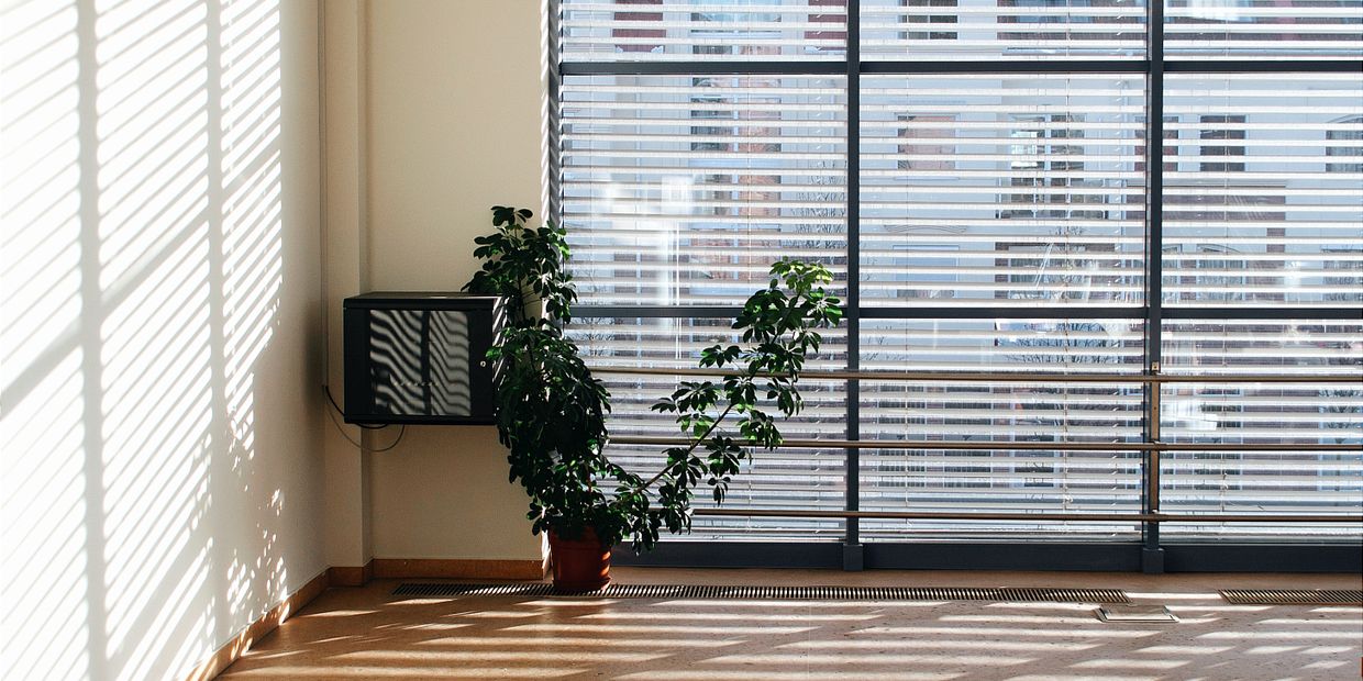 Sunlight falling across an office at desk height