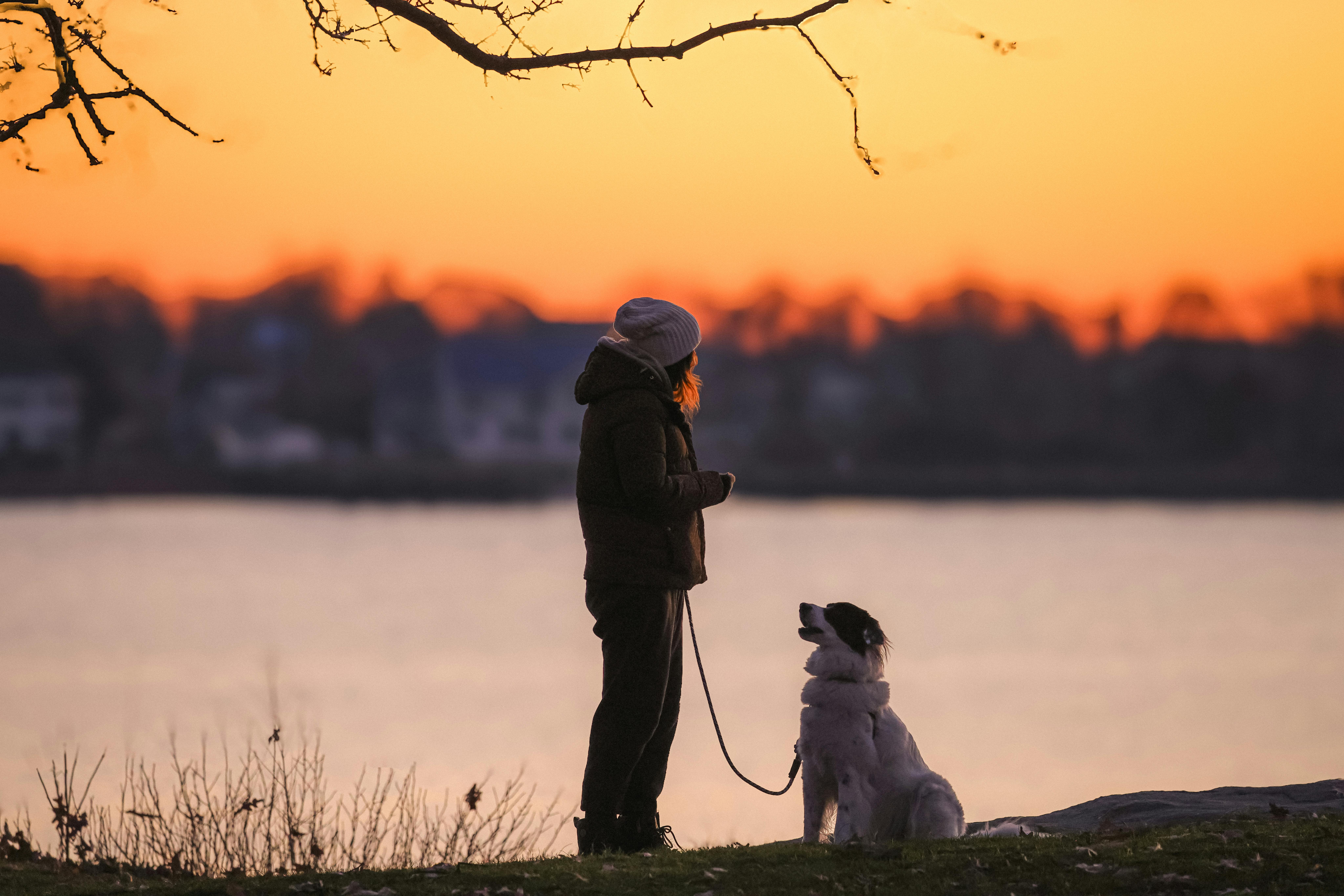 Pet Expert Kristen Levine Offers Pet Health, Safety and Wellness Tips for National Pet Month on TipsOnTV — Photo by David Kan