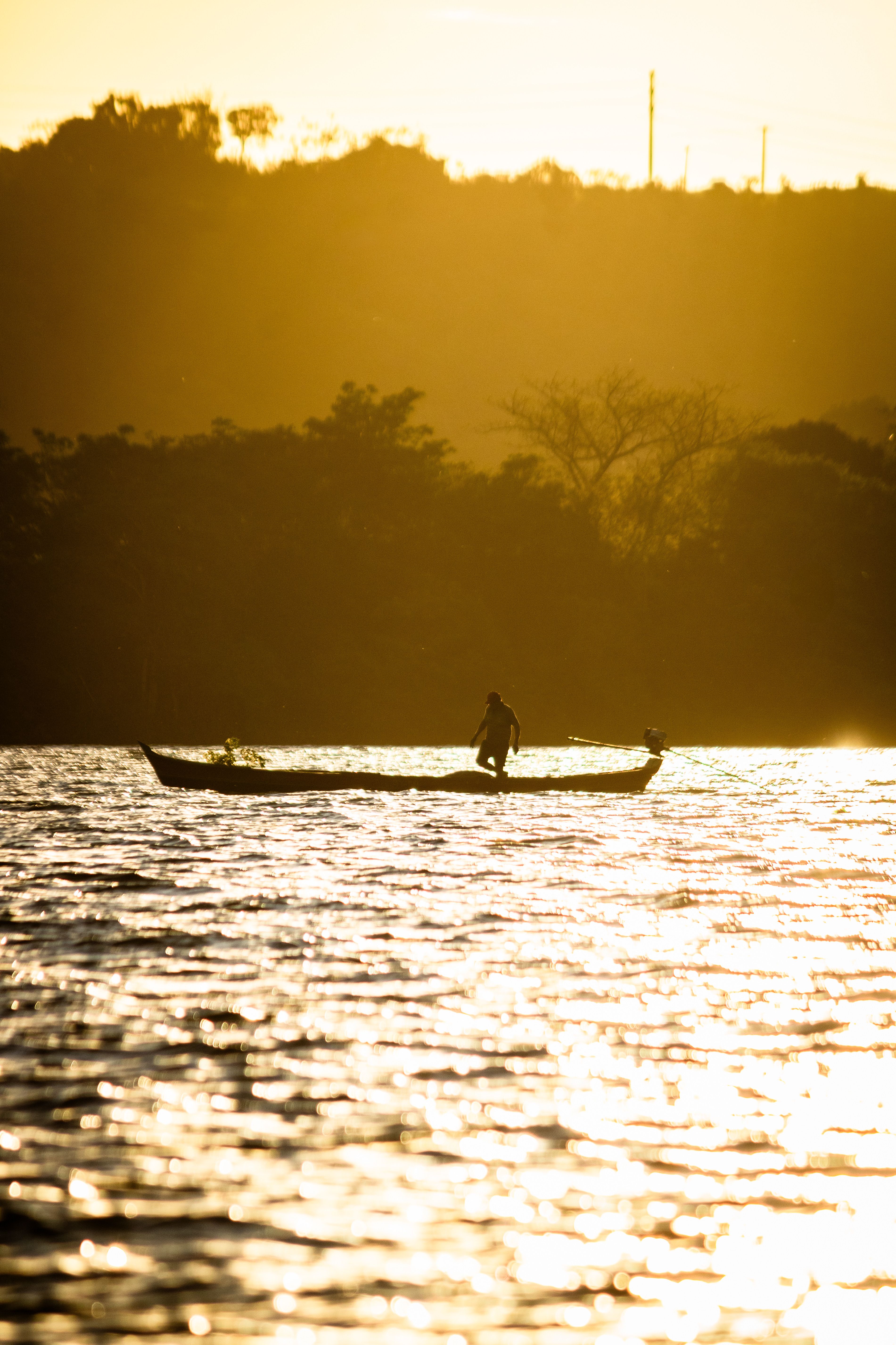 Fotomural Un pescador solitario se encuentra en un barco, silueteado contra un atardecer dorado sobre el lago.