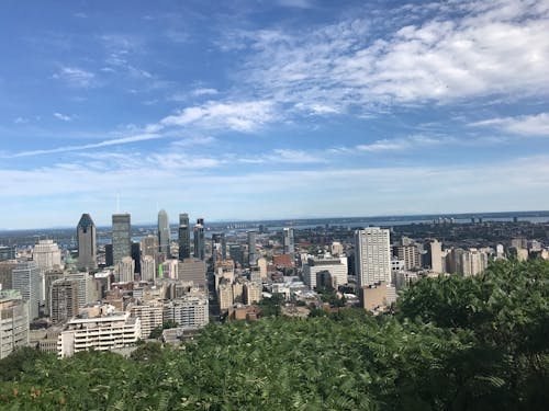 Free stock photo of city view