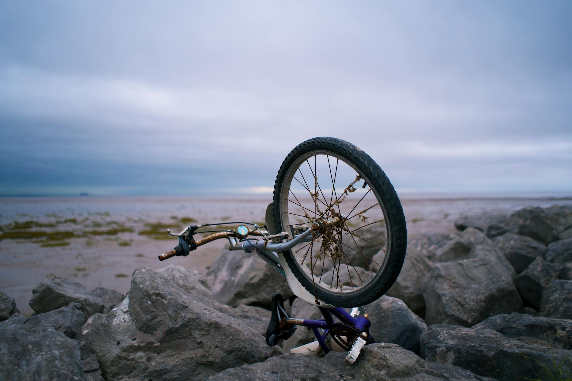 Damaged Bike Wheel on Rocks