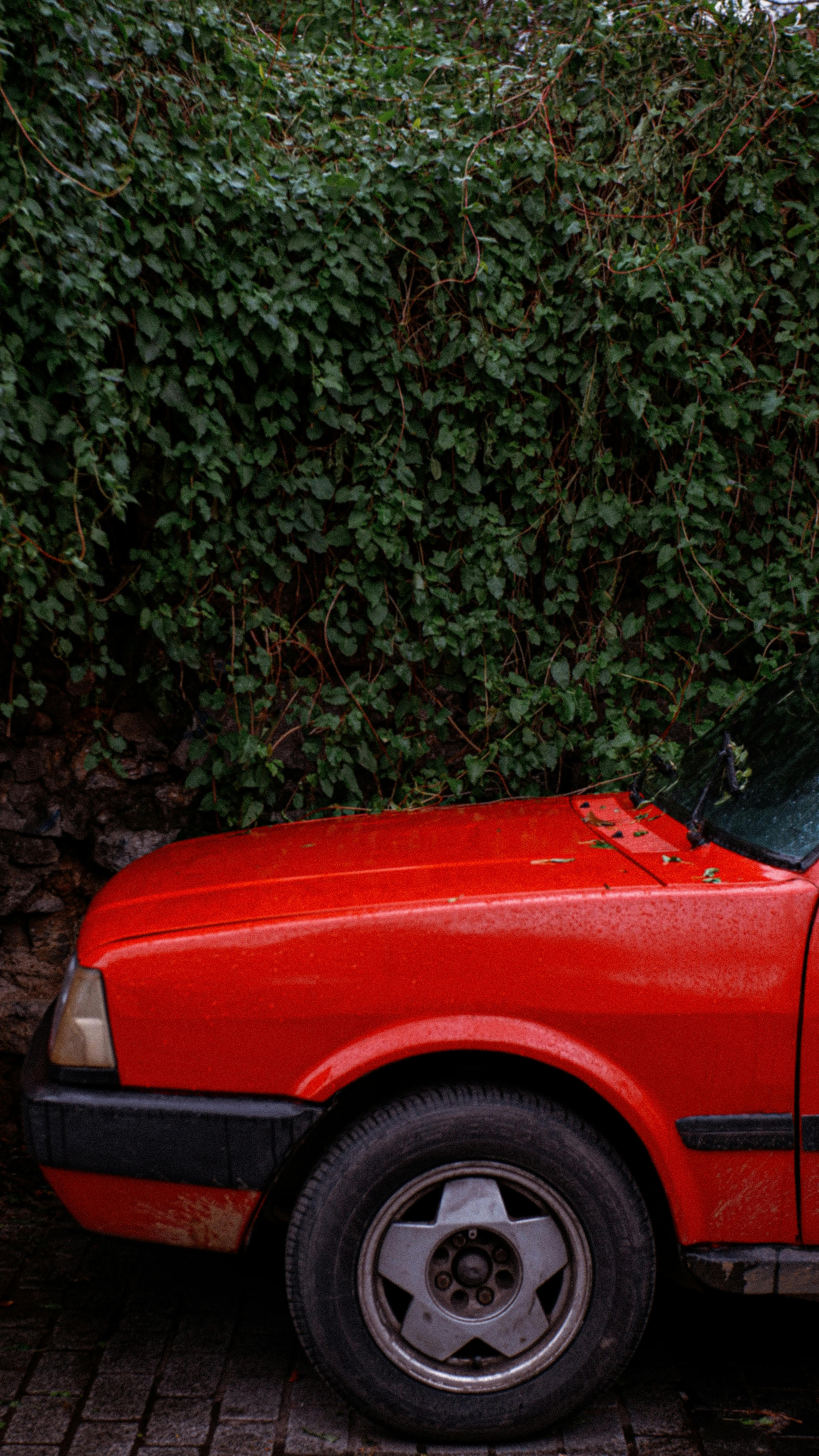 Black Tofas Car In Rain · Free Stock Photo