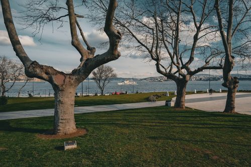 Free Beautiful park view with trees and Bosphorus Strait in İstanbul, Türkiye. Stock Photo