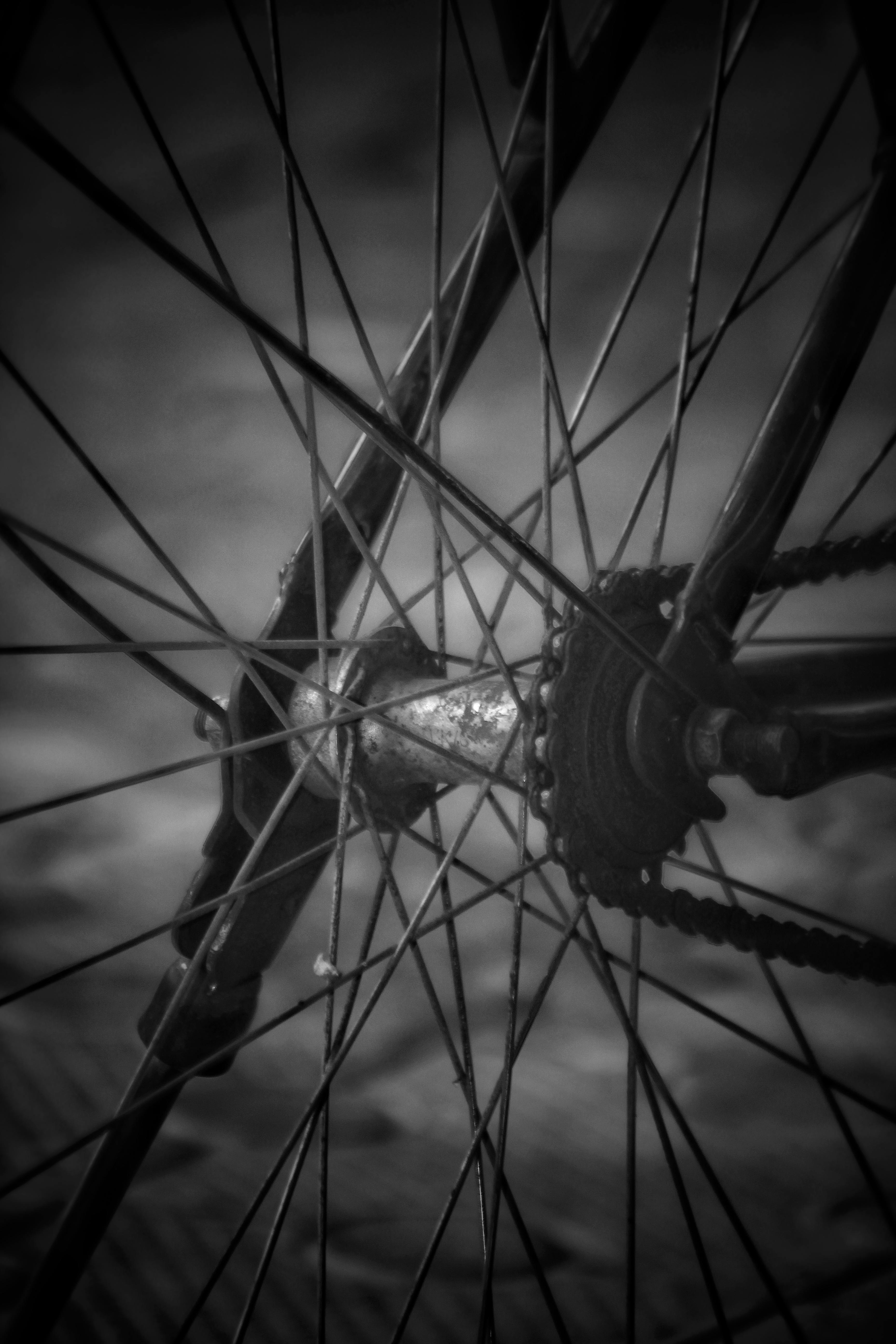 Free stock photo of black and white, blurred background, cycle