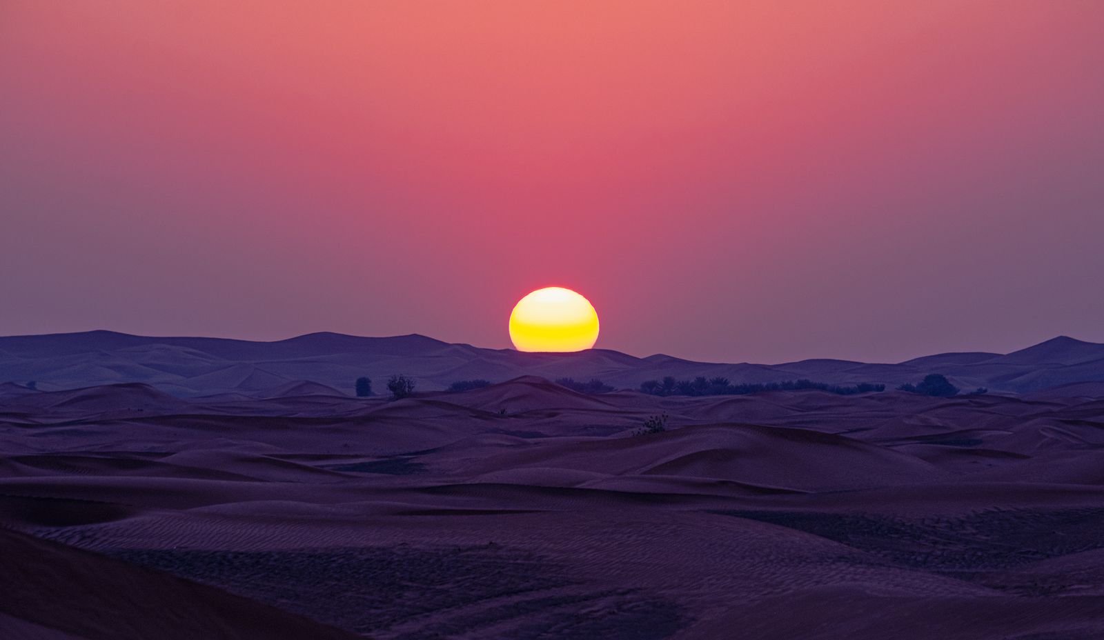 Dusk light over rippled desert dunes — photo by Mo Eid on Pexels