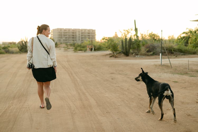 Woman And Dog On Dirt Road In Baja California, Mexico