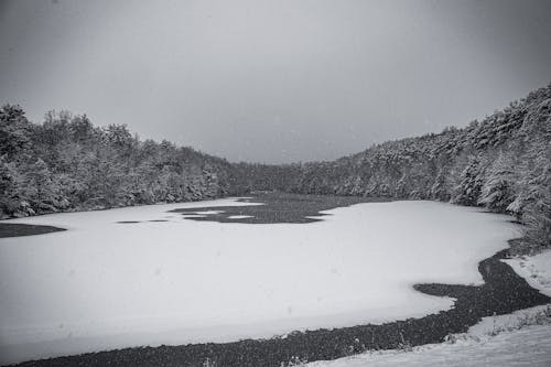 Frozen Lake Among Trees