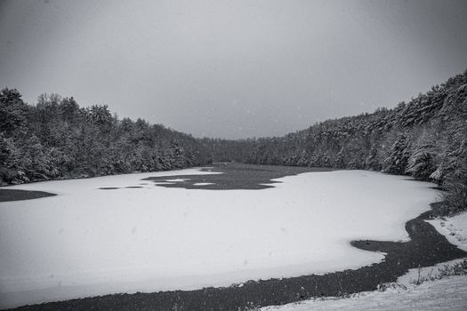 A tranquil black and white view of a frozen lake surrounded by snowy trees in winter.