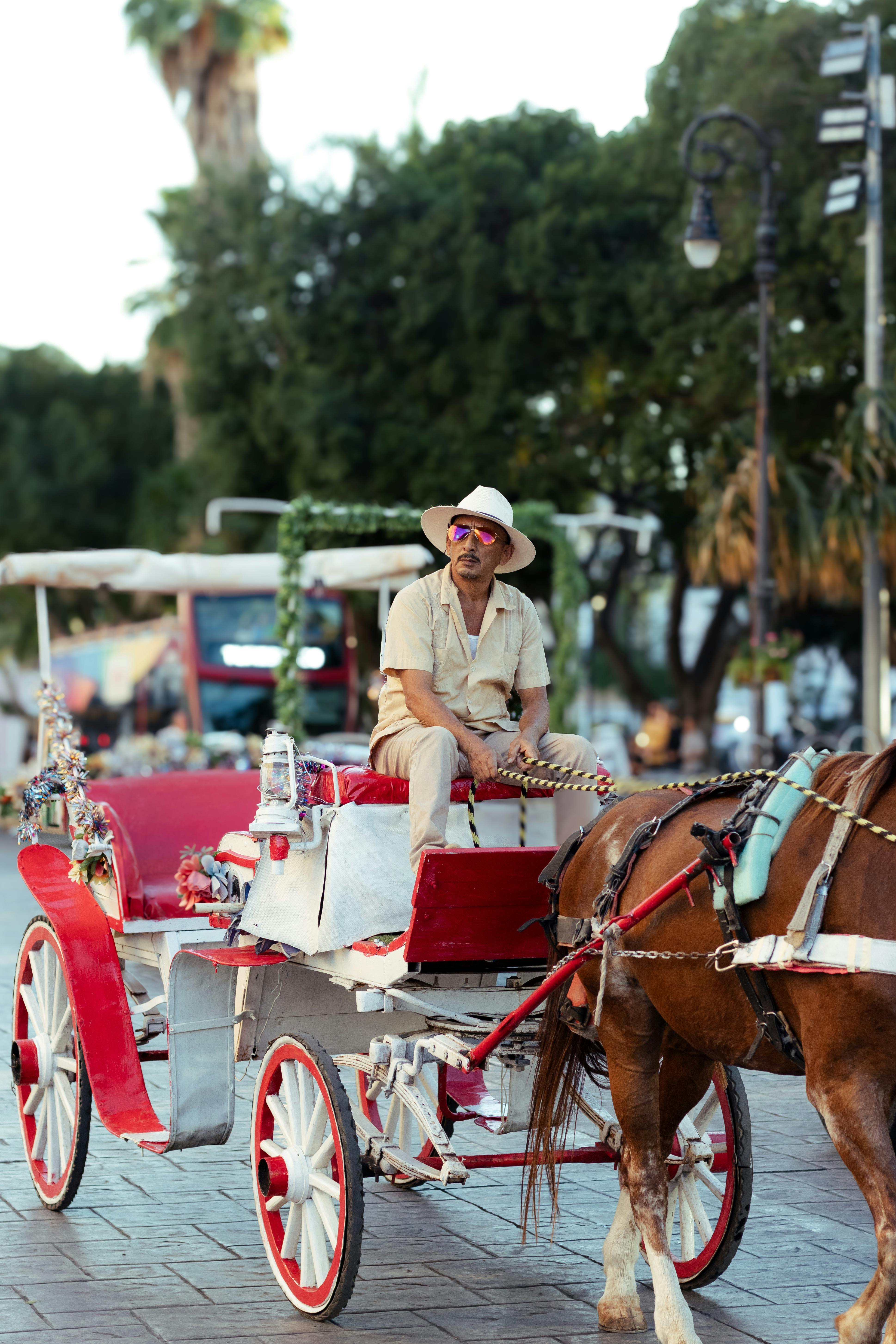 Horse-Drawn Carriage in City