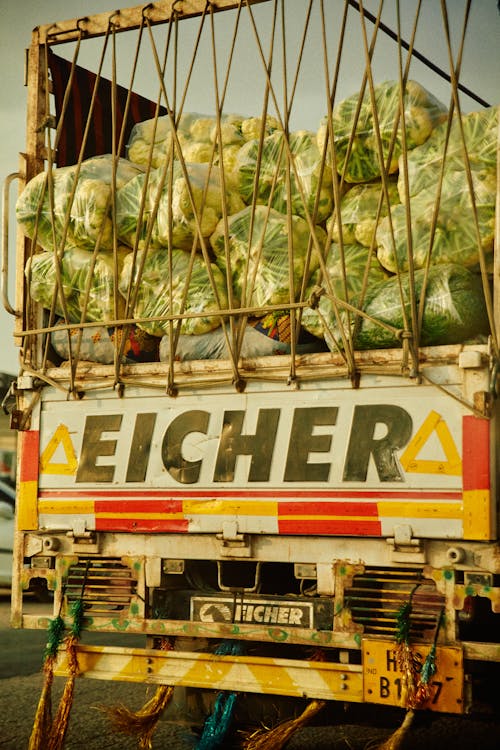 Foto profissional grátis de alface, alimento, caminhão