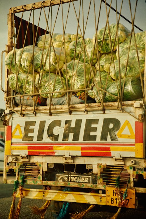 Lettuce on a Track 