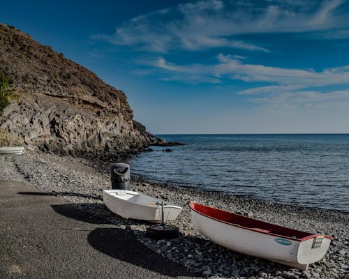 Бесплатное стоковое фото с берег, вода, лето