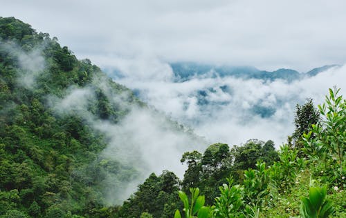 Kostenloses Stock Foto zu ha giang, nam, vietnam