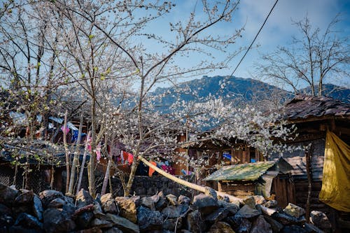 Kostenloses Stock Foto zu ha giang, nam, vietnam