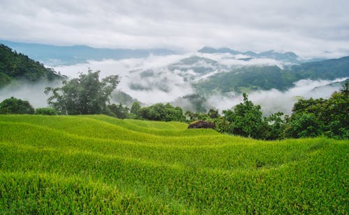 丘陵, 山, 景觀 的 免费素材图片