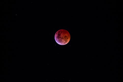 Foto profissional grátis de eclipse, eclipse lunar, luna