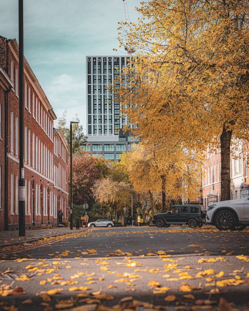 Free Autumn scenery in Manchester with golden leaves lining a quiet city street under a clear sky. Stock Photo