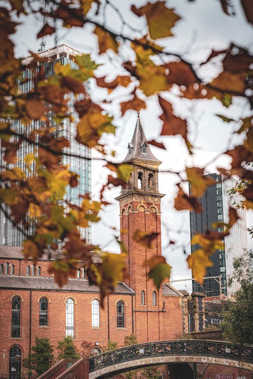 Autumn Leaves and a Brick Tower in Manchester
