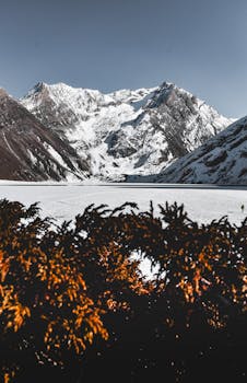 Breathtaking view of snow-capped mountains behind a frozen lake and autumn foliage.