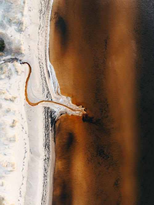 Foto profissional grátis de abstrair, branco, castanho